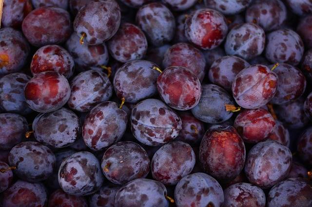 Free photo: Plums, Fruit, Ripe, Violet, Fruits - Free Image on Pixabay - 2724160 (598)