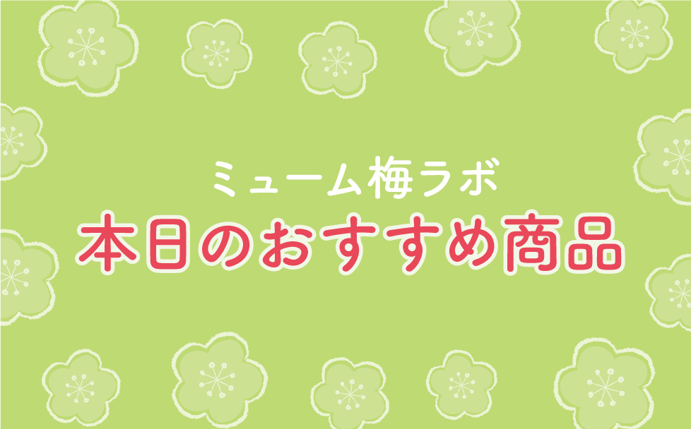 【おすすめ商品】梅のお菓子 part1
